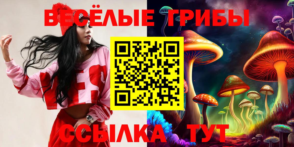 Псилоцибиновые грибы мухоморы  Галлюциногенные грибы мухоморы  Холмск  Вход с VPN 