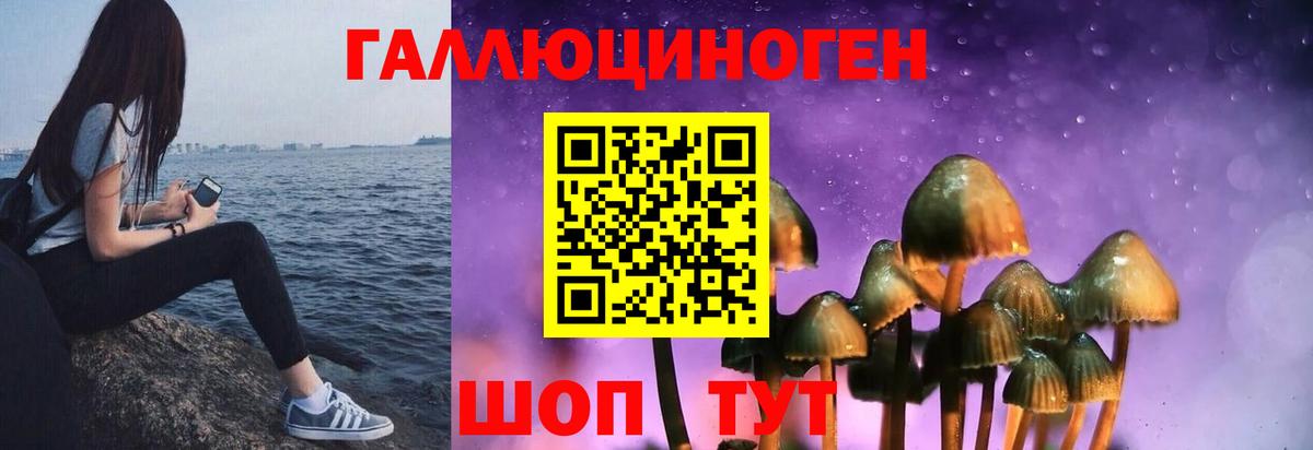 Псилоцибиновые грибы ЛСД Холмск