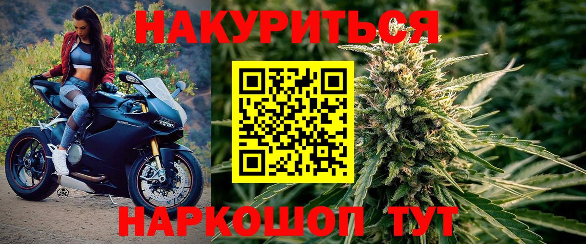 Каннабис план  Канабис ГИДРОПОН  Холмск  Марихуана тримм  Вход с VPN  Марихуана индика 